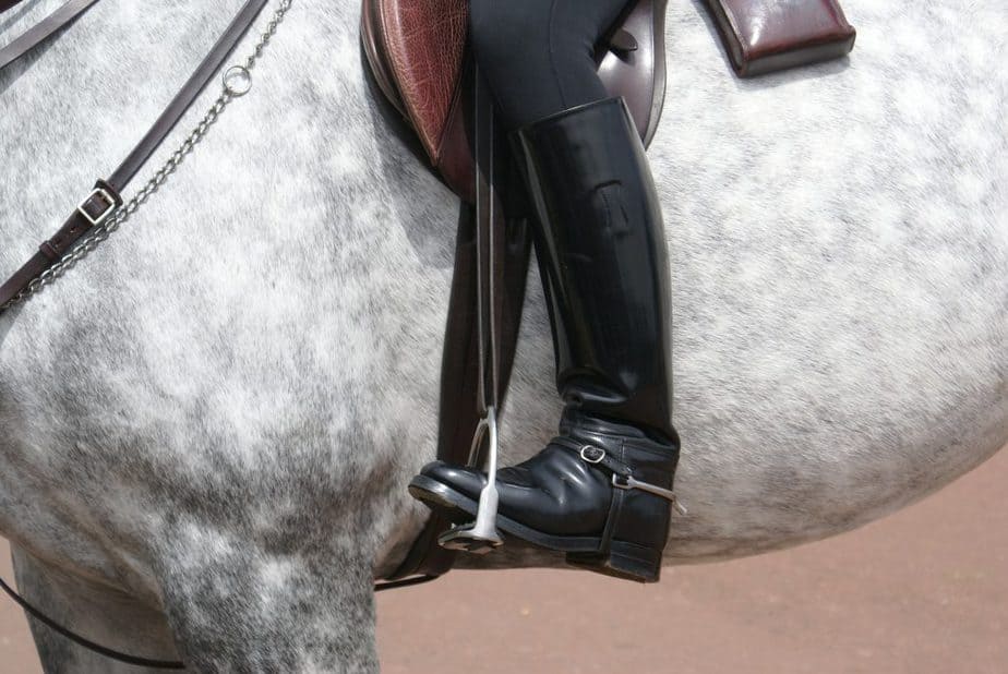 Best Horse Riding Boots Learn About Horses